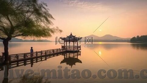 麻豆传文化传媒网站入口免费-探寻麻豆传文化传媒的魅力，免费沉浸于创意与艺术的海洋