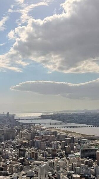 糖心app安装-糖心app的秘密花园，解锁数字生活新体验