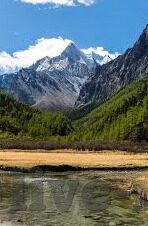 糖心app苹果版免费-深度探索糖心app在苹果系统的免费体验
